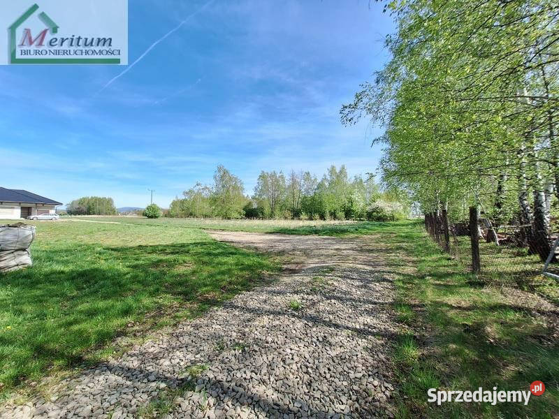 Grunt Świerzowa Polska 1462 metry kanalizacja sprzedam