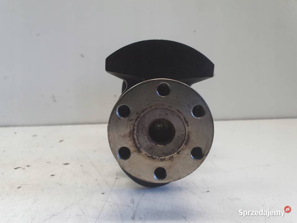 Renault Clio III 12 TCE 0512r WAŁ KORBOWY TF8469