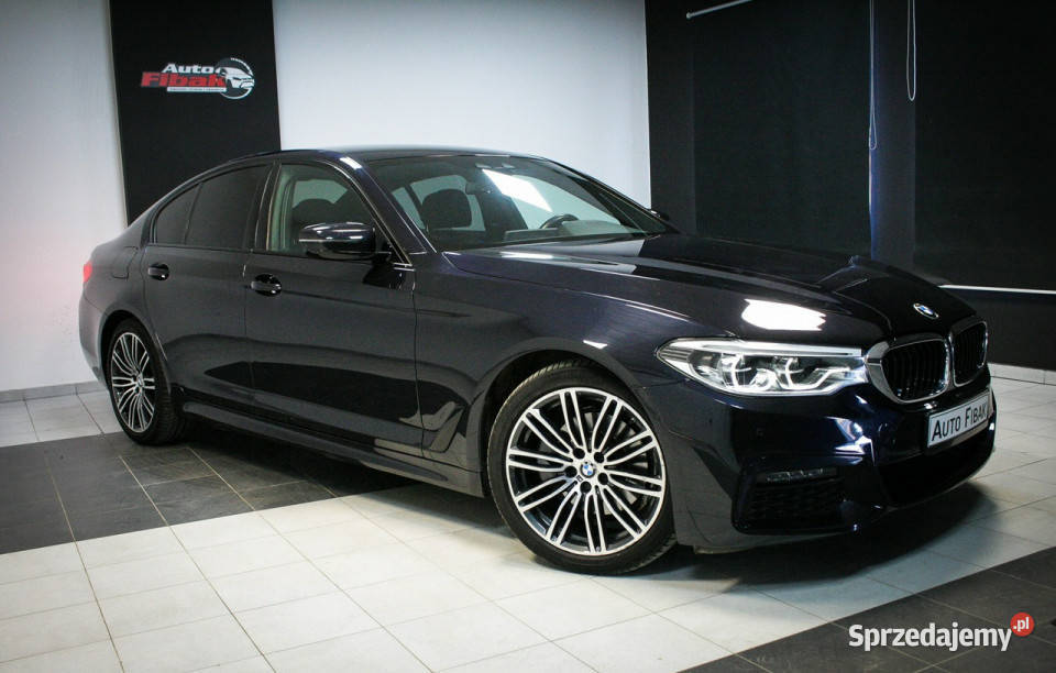 BMW 520 520dCarbonSchwarzMPakietFotele