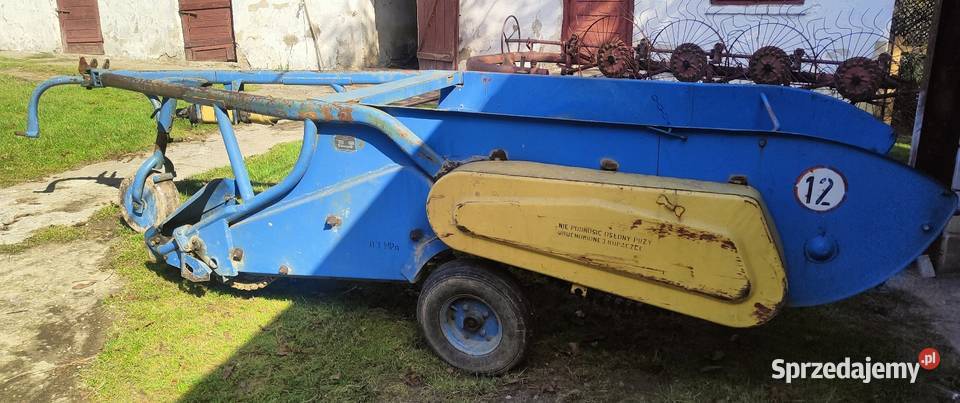 Kopaczka elewatorowa Z609 Dmosice