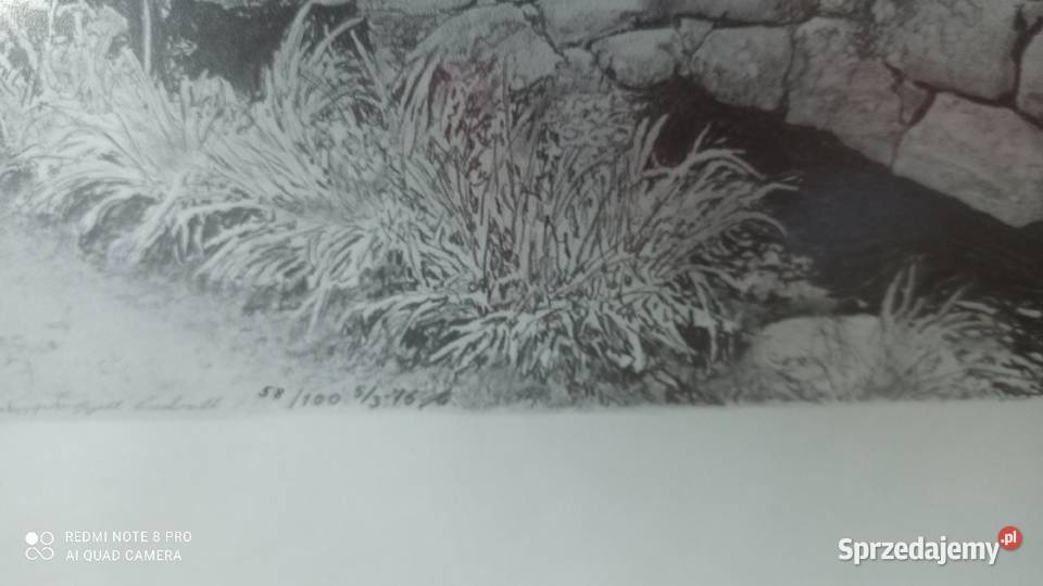 Grafika reprodukcja szkłem