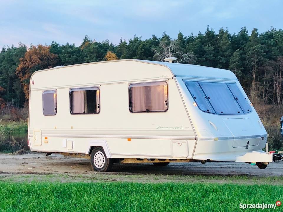 ELDDIS EQUIPE Czapury sprzedam