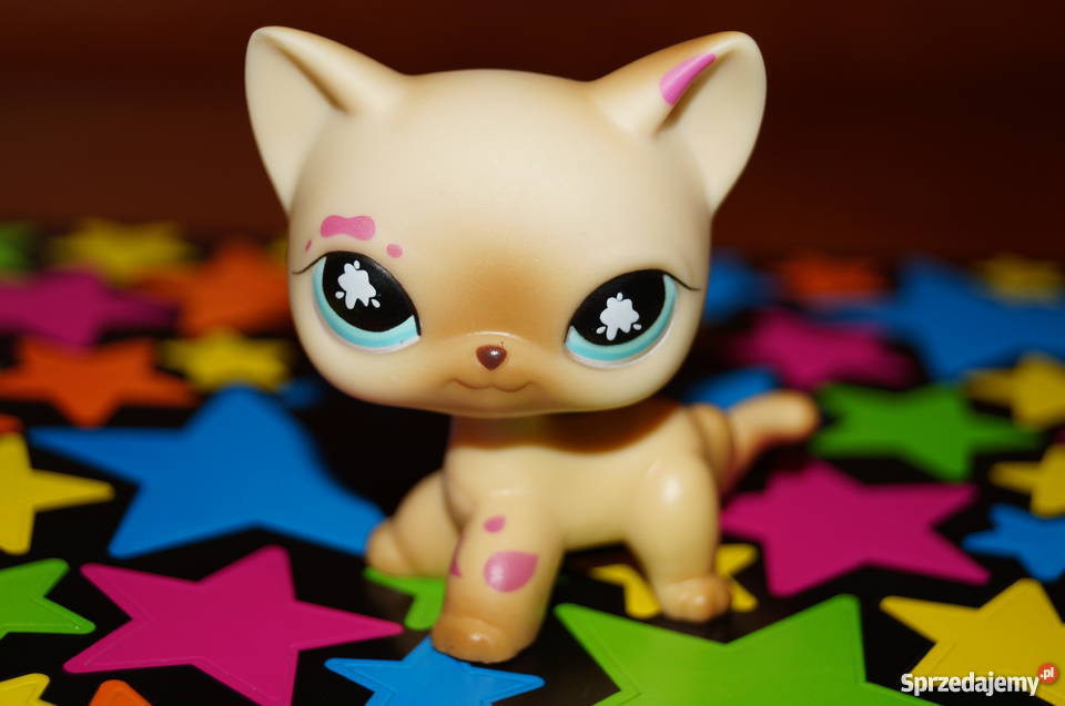 LPS shorthair UNIKAT 816 Littlest Pet Shop kot