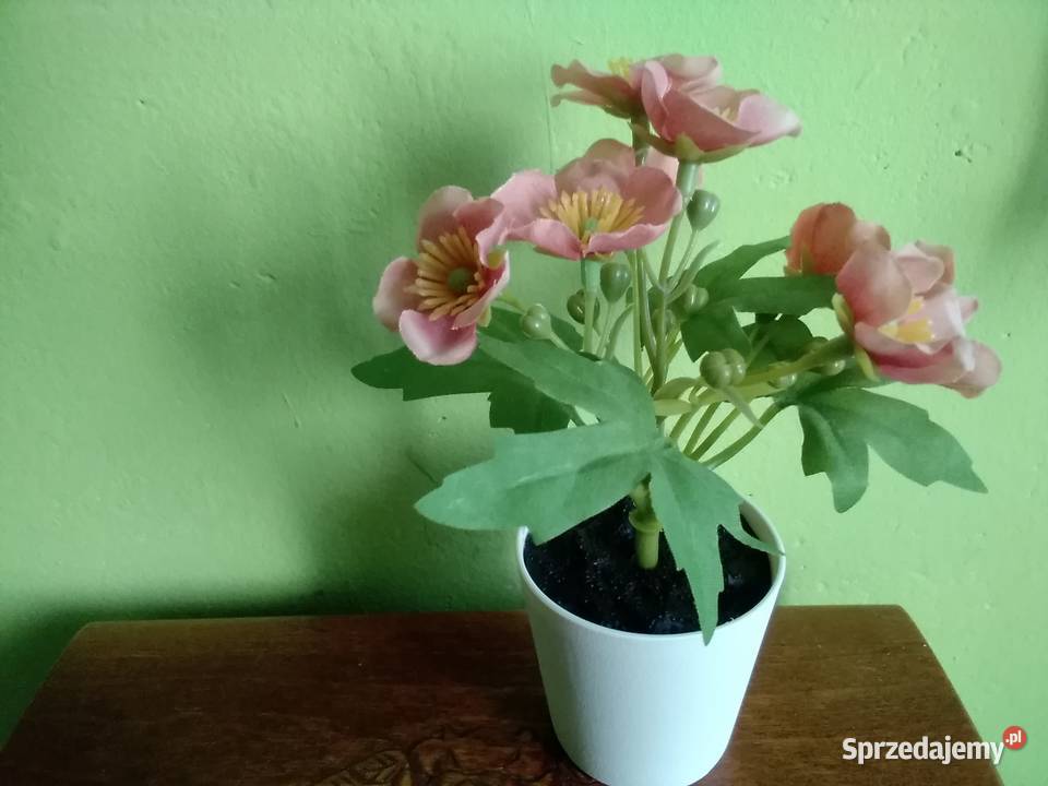 Fejka sztuczna roślina doniczkowa Łódź