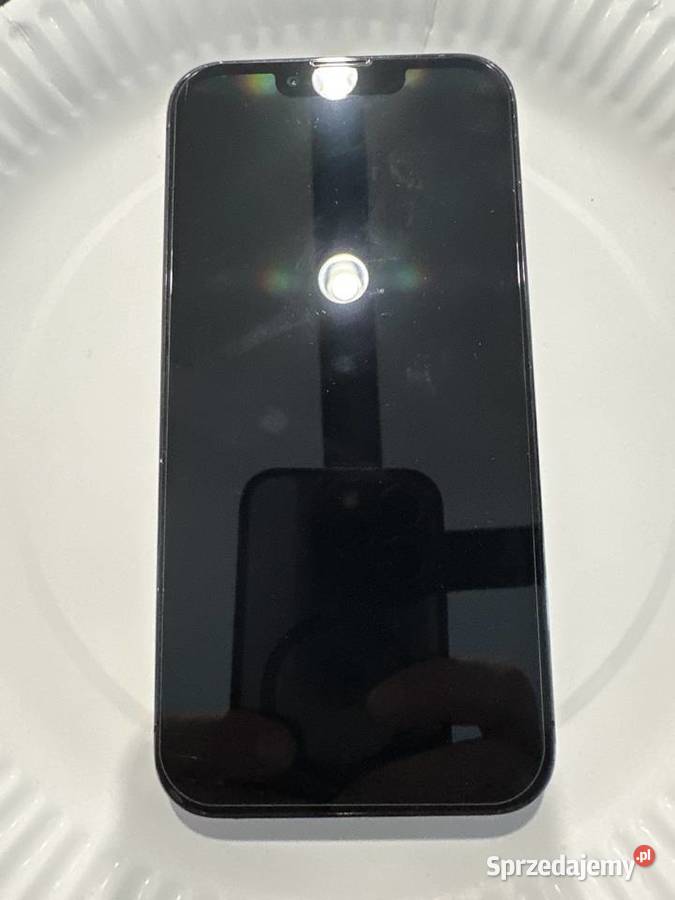 iPhone 13 Pro 256 GB stan Ruda Śląska