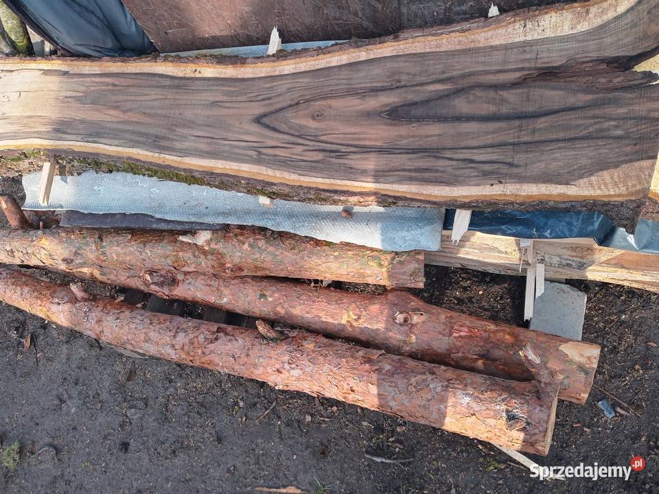 Deski orzech lubelskie Brzeziczki