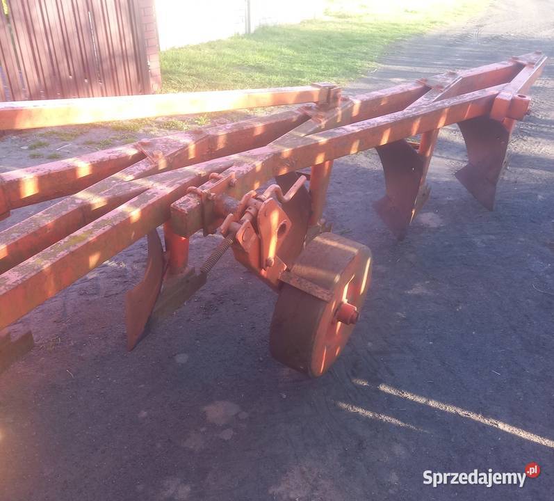 Plug 5 skibowy Dębsko