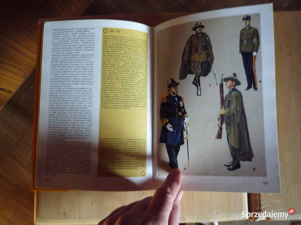 wojsko polskie barwa i broń 1939 45 podkarpackie Lutowiska