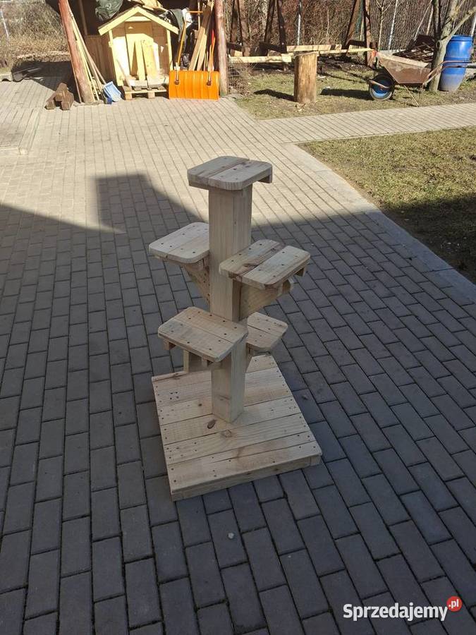 Kwietnik ogrodowy Ogród Kielce