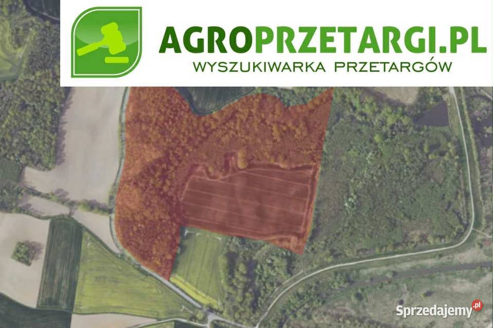 Dzierżawa 4705 ha gruntu rolnego rolna sprzedam