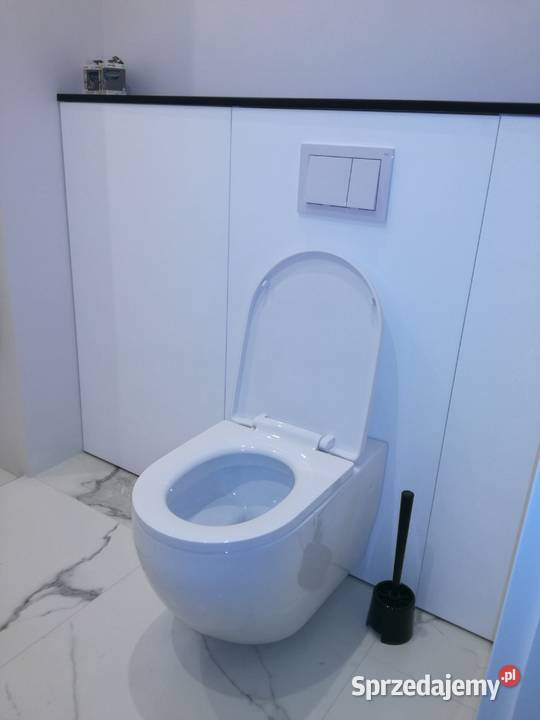 Serwis spłuczek w zabudowie Geberit Koło