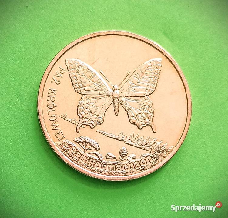 2 2001 r Paź Królowej Wrocław