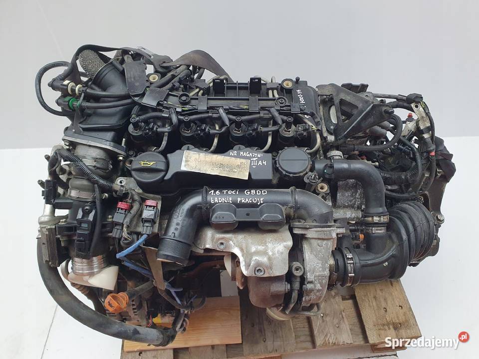SILNIK KOMPLETNY Ford Focus II MK2 16 TDCI 109 lubelskie Rudka