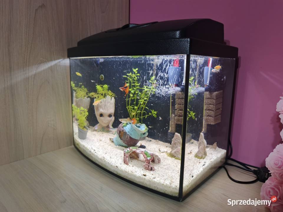 CZYTAJ OPIS Akwarium z pełnym wyposażeniem Agnopol