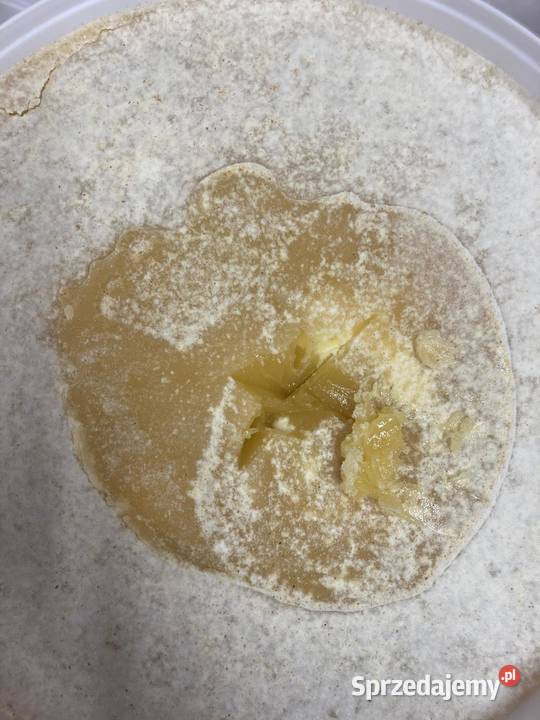 Miód wielokwiatowy Kędzierzyn-Koźle