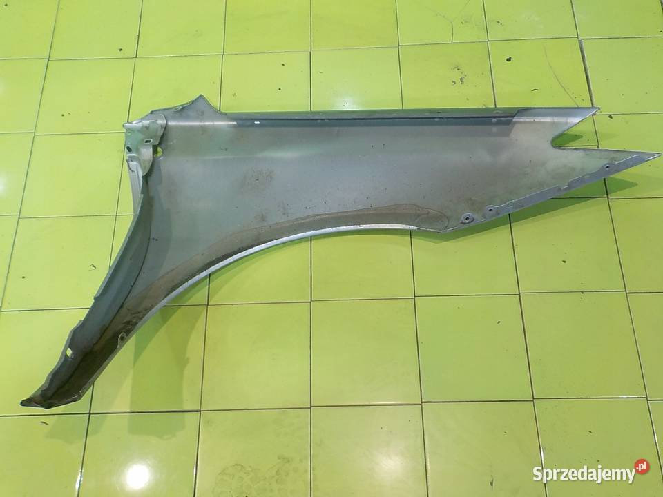 RENAULT LAGUNA III 08r HB 5D blotnik lewy przod Suków sprzedam