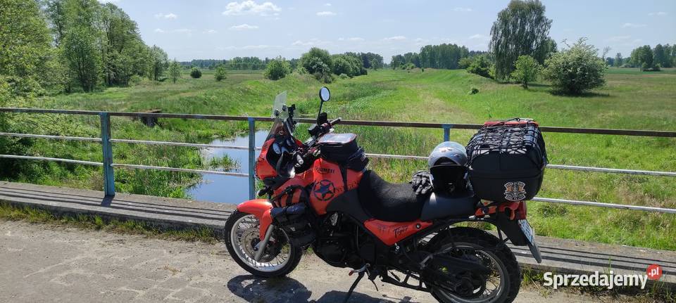 Triumph Tiger 955i 2004 Tarnowskie Góry