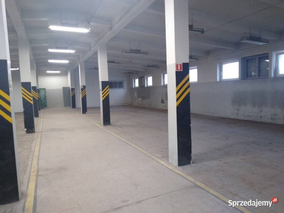 Lokal Kielce 1000 metrów 1000m2 Wynajem