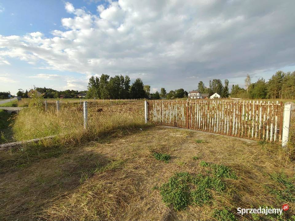 Działka 128 ha świętokrzyskie gmina Wiślica Skotniki Dolne