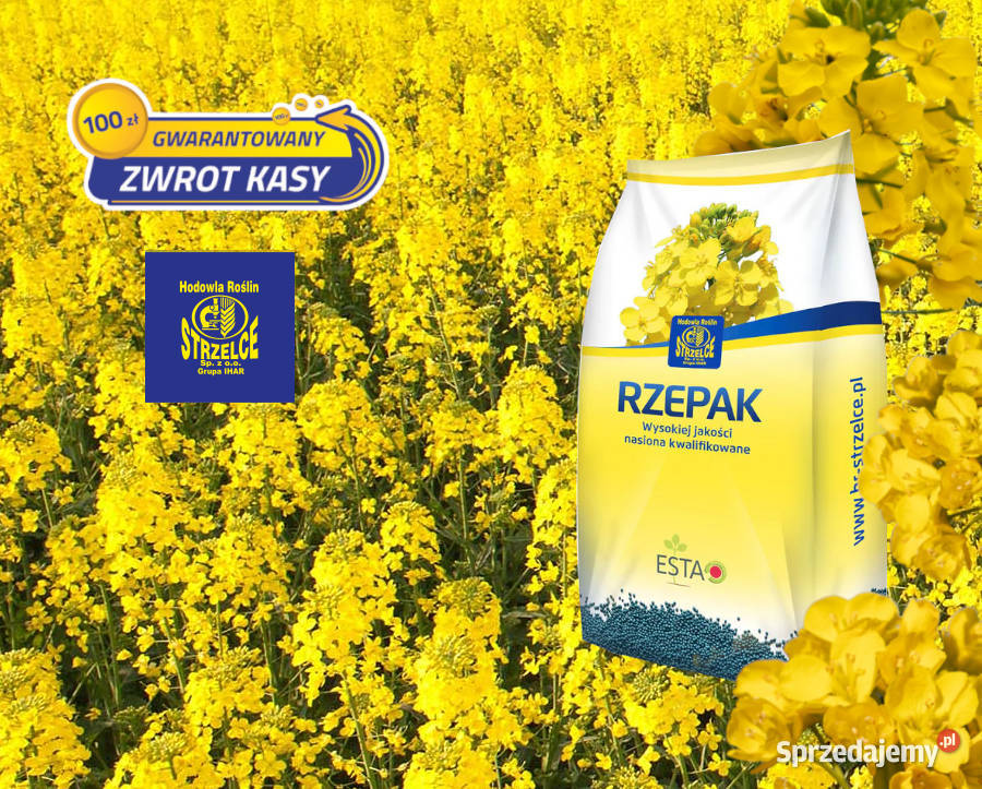 Rzepak Strzelce Kepler Buteo Start Człuchów