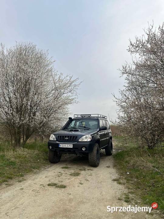 Sprzedam hyundai terracan Terracan Radostowice