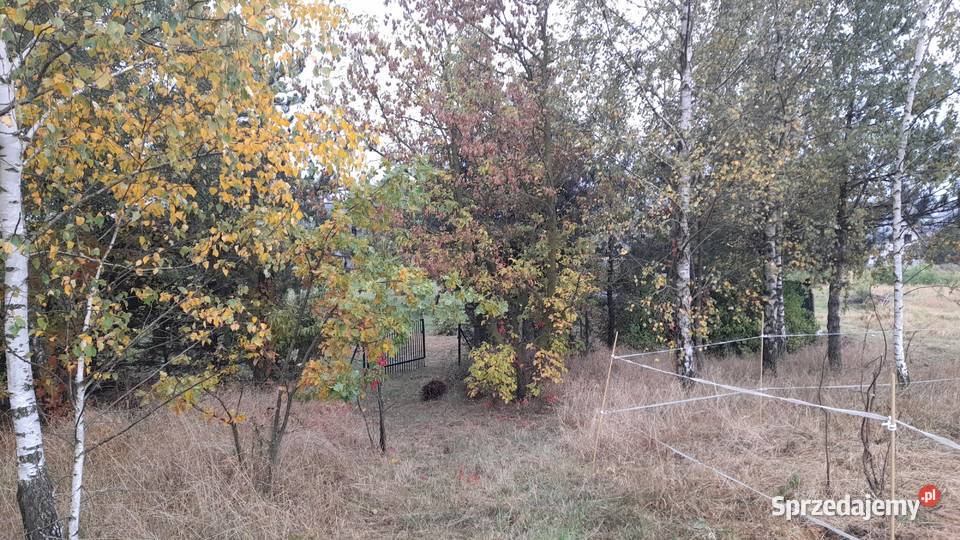 Sprzedam działkę najwyżej położoną w Grajewie Grajewo sprzedam