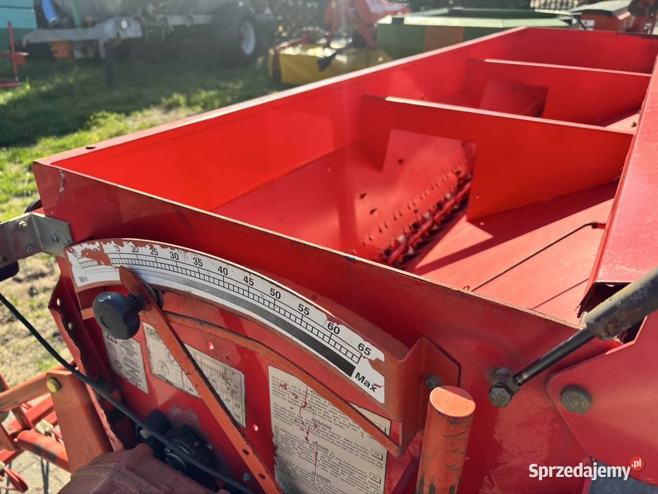 Siewnik zbożowy talerzowy Maschio Gaspardo 300 Niedźwiedź