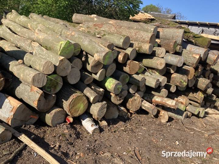 Drewno kominkowe Szczecin