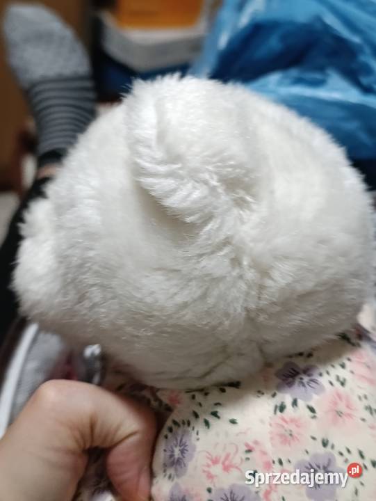 miś z poduszką pluszak zabawka pluszowa maskotka Poznań