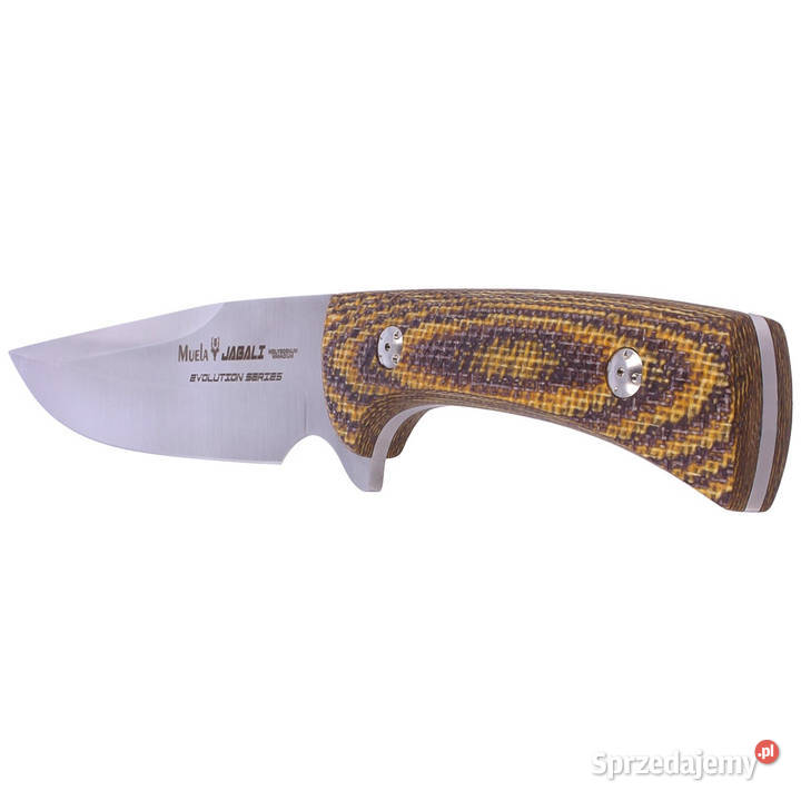Nóż Muela Jabali Brown Micarta Satin 170mm mazowieckie Warszawa