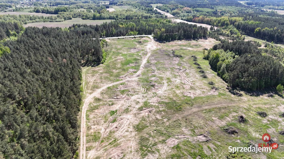 sprzedaży gruntu Wasilków 3400m2 70m Grunty i działki