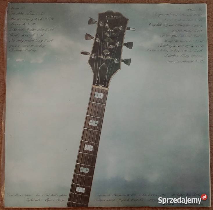 Płyta winylowa jestem sobą Bem Bliziński blues mazowieckie Milanówek