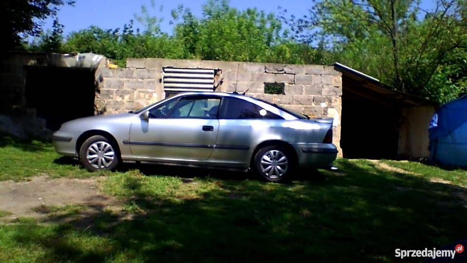 kalibra Sportowy / Coupe Skarbka