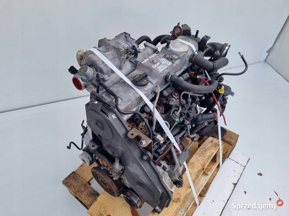 SILNIK KOMPL Ford S S 18 TDCI 125 QYWA Rudka