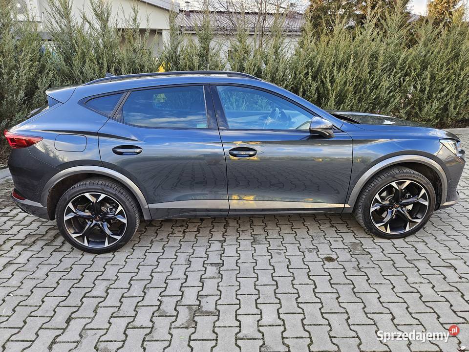Cupra Formentor 20 TSI 190 DSG 4Drive automatyczna Korsze