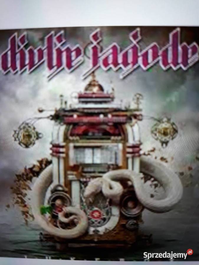 Archiwum hard prog rocka DIVLJE JAGODE Orginal Rzeszów sprzedam