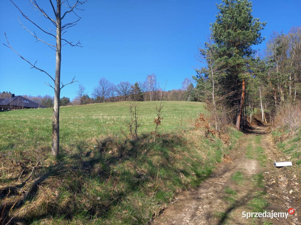 Na sprzedaż działka w Sanoku w dzielnicy Sanok