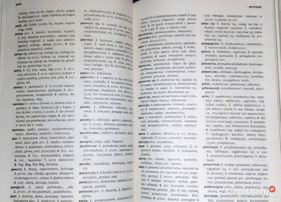 Słownik szkolny Synonimy Witold Cienkowski Chełm