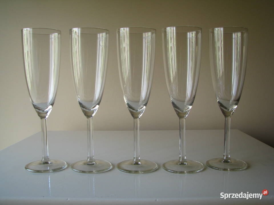 Krystaliczne lampki kieliszki na wino Brzegi