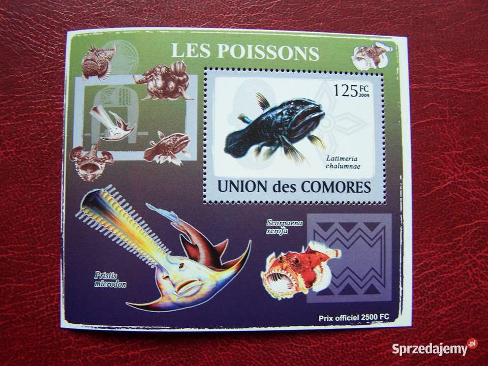 Komory 2009 MNH Fauna Życie Morskie Ryby Nakład Filatelistyka Tychy