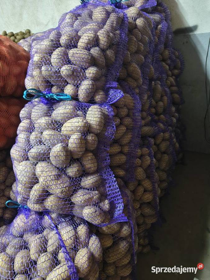 Sprzedam ziemniaki Nieczajna Górna