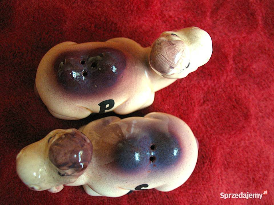 Sól i pieprz wielbłądy 6 x 8 x 4 Solniczka i Siedlce