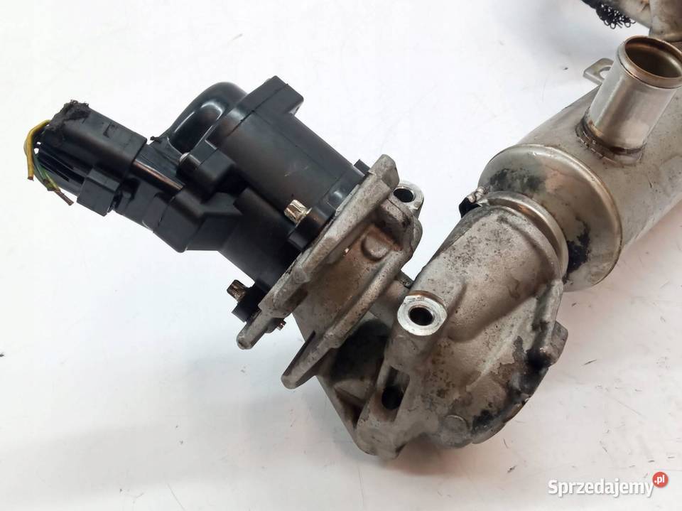 CHŁODNICA SPALIN ZAWÓR EGR 3M5Q9F464BC 16 D Ford osobowe