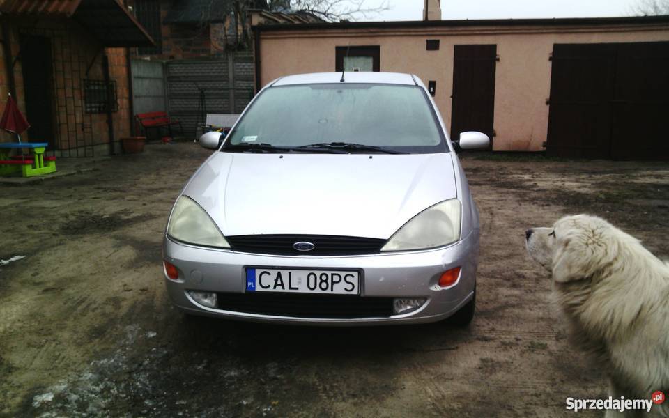 Ford Focus 1999 16 benzyna
