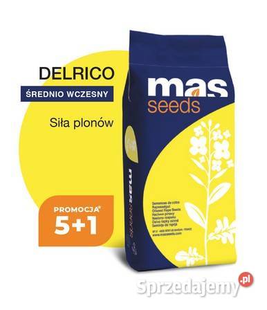 Nasiona rzepaku Delrico 51