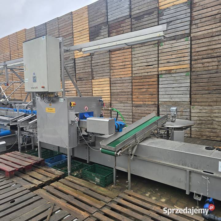 Linia do segregacji i mycia warzyw cebuli itd Nysa