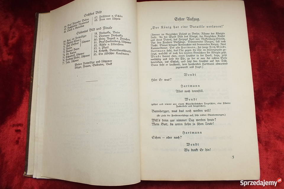 Stara niemiecka powieść Stein z 1925 roku Żary sprzedam