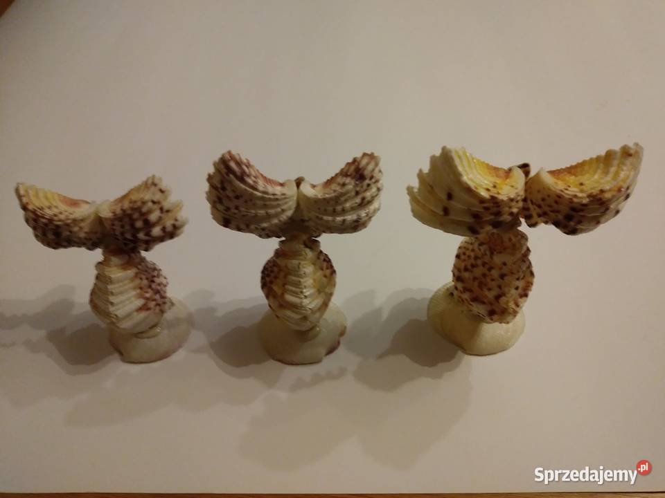 figurki z muszelek sowy Łódź