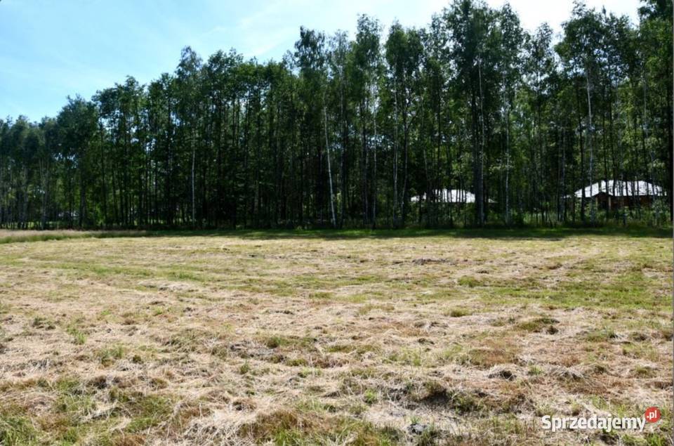 Działki 10a pod lasem Widełka podkarpackie