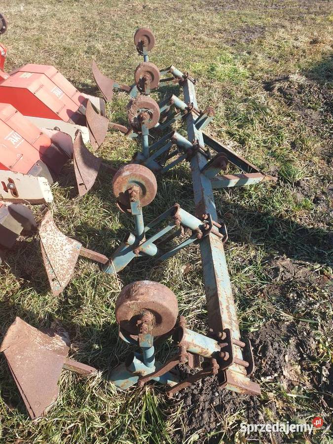 Obsypnik 5 redlic mazowieckie Ciepła